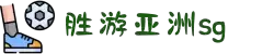 SG·亚洲胜游(中国区)官方网站